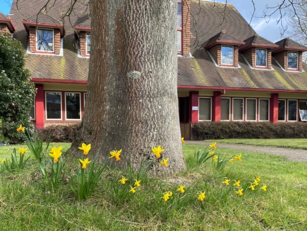 Albatross Group Larkfield office in spring